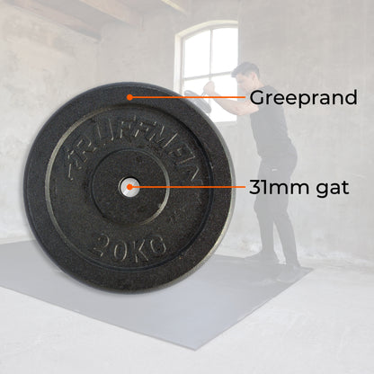 20kg halterschijf